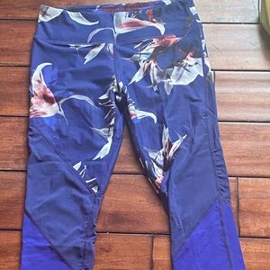 Purple with White Flowers